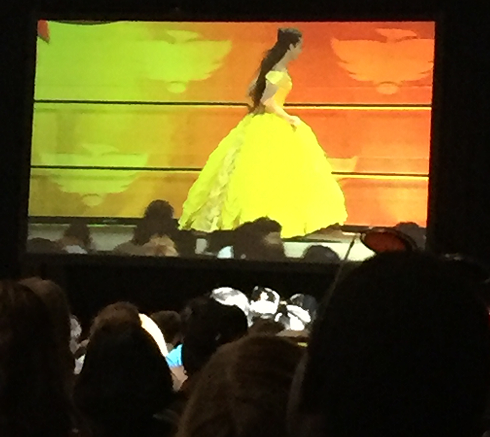  Not a great pic, but this was my view from the costume contest. That Belle was done by a man! Yay crossplay! 